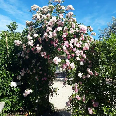 Haus Romagnoli Lägenhetshotell 3*