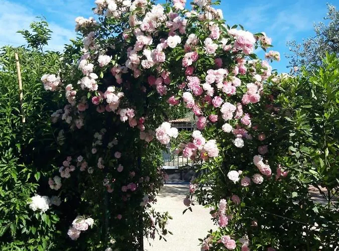 Haus Romagnoli アパートホテル 3*