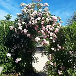 Haus Romagnoli Lejlighedshotel 4*